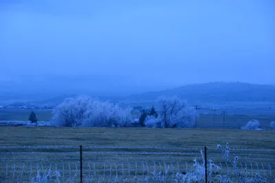 DSC_1117 (Large).JPG